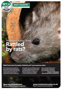 rat pest control yeovil