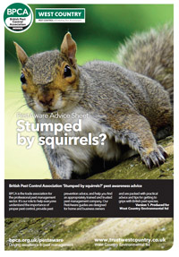 squirrel_pest_control