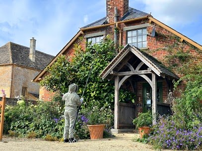 home and domrestic pest control for waps, hornets, flies, rats, mice from west country pest control yeovil somerset