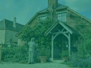 west country pest control yeovil somerset rats mice moles squirrells wasps hornets moth flies bg